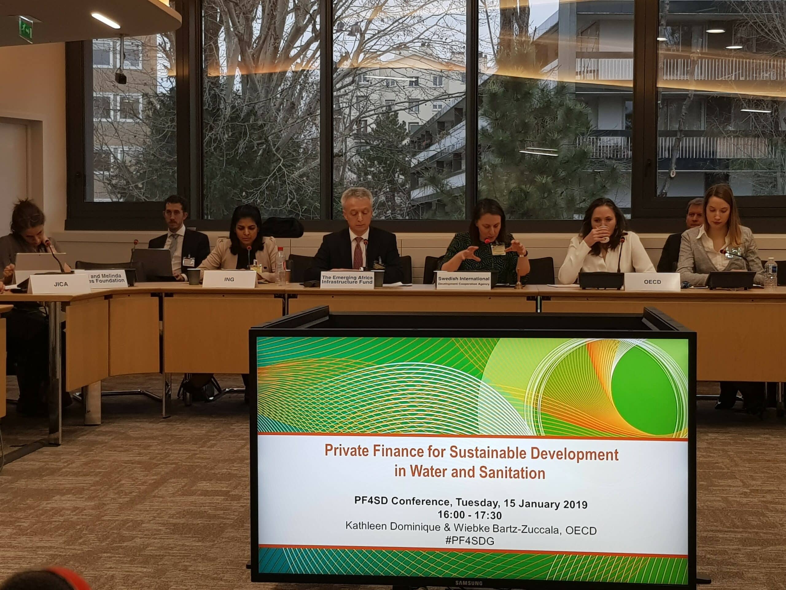 EAIF Executive Director leads  session at PF4SDG